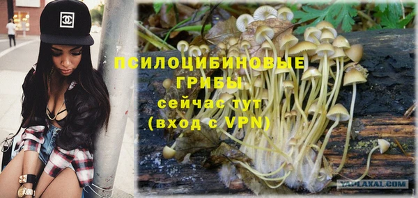 винт Алексеевка
