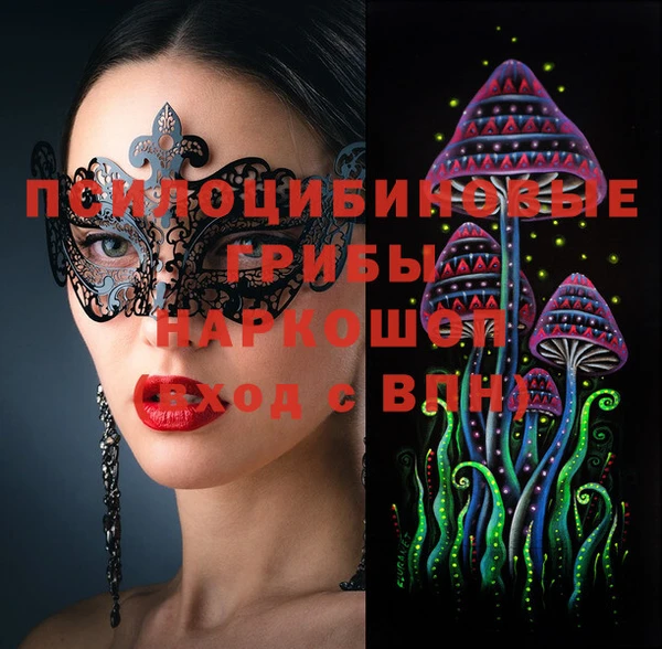 спайс Алексин