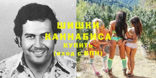 спайс Алексин