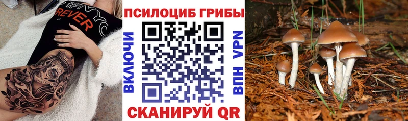 KRAKEN маркетплейс  Нижняя Салда  Псилоцибиновые грибы GOLDEN TEACHER 